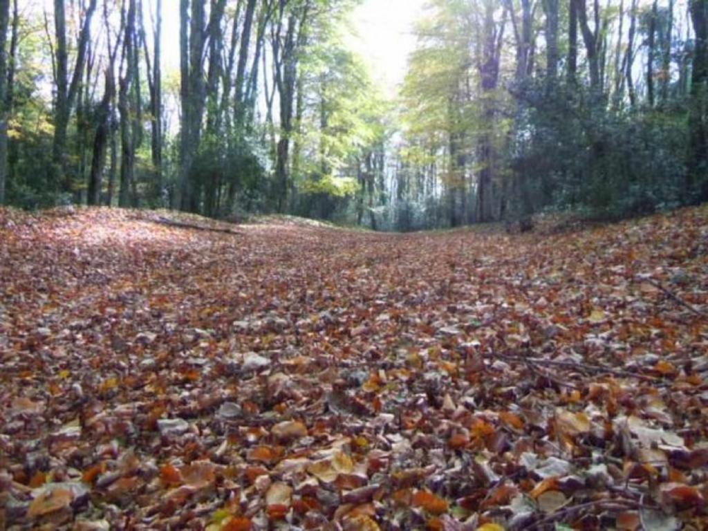 A Casa Di Lo' Mattinata Bagian luar foto