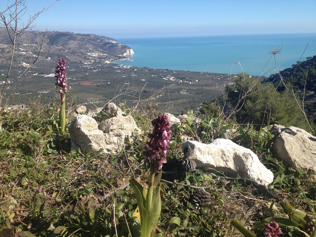 A Casa Di Lo' Mattinata Bagian luar foto